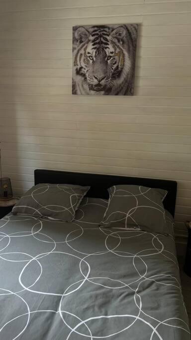Magnifique Appartement T2 Le Barcarès エクステリア 写真
